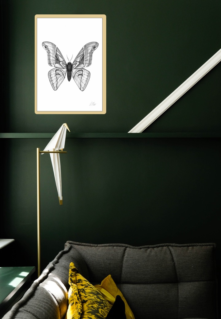 Dark Lounge Portrait with Atlas Moth by Debbie New