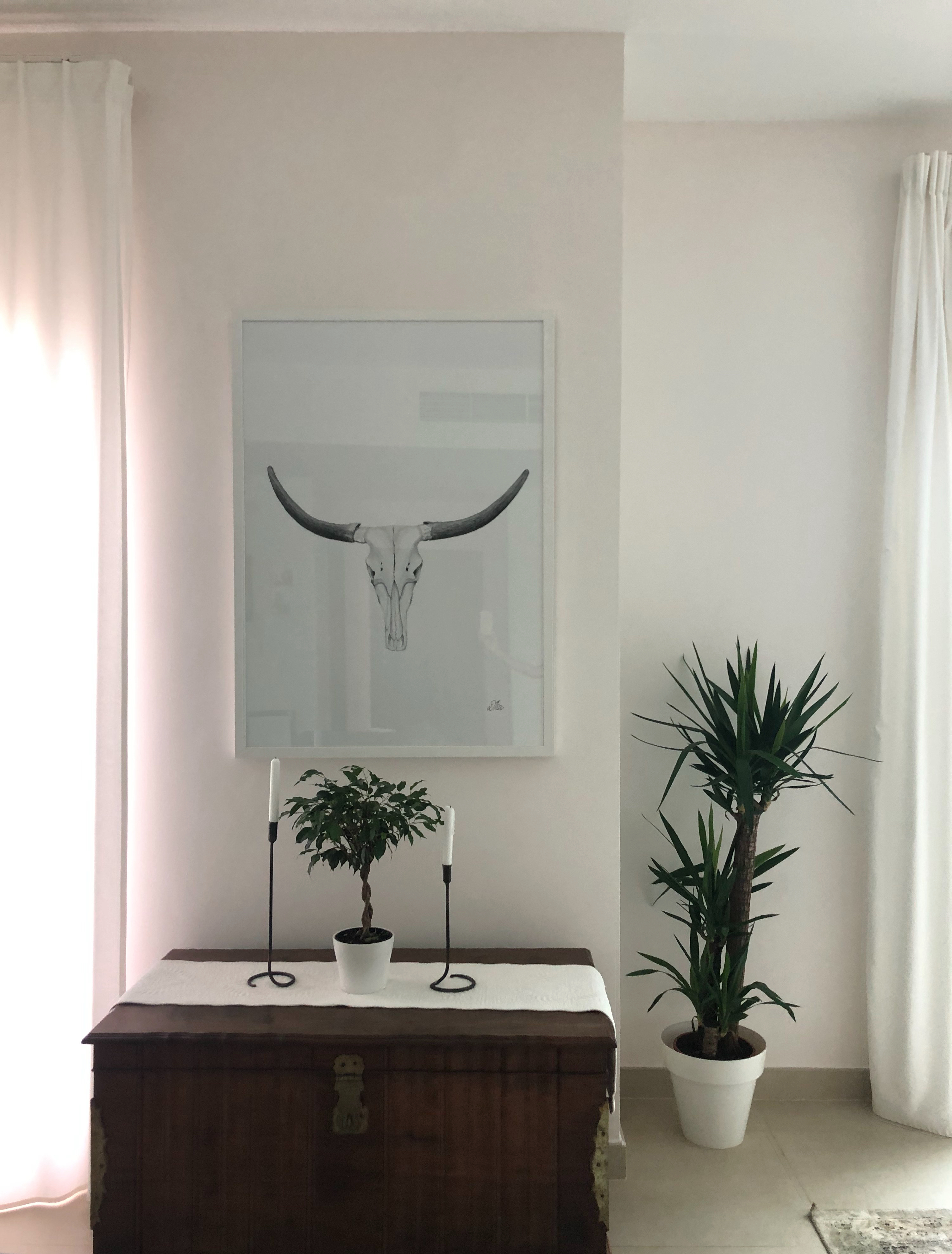 Nguni Skull Pencil Drawing by Debbie New