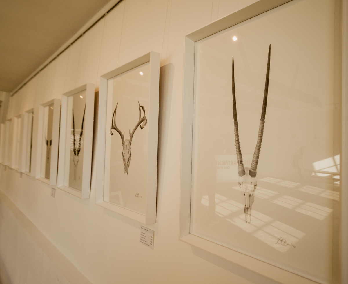 Debbie New Skull Drawings